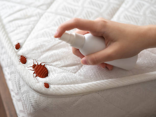 Best Pest Prevention Services  in Oak Creek, WI