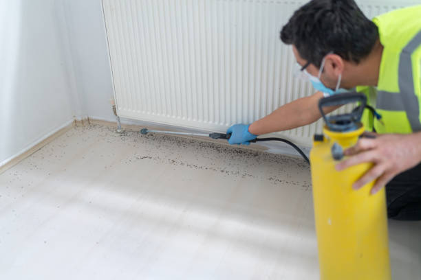 Trusted Oak Creek, WI Pest Control Experts